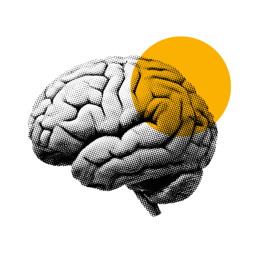 brain